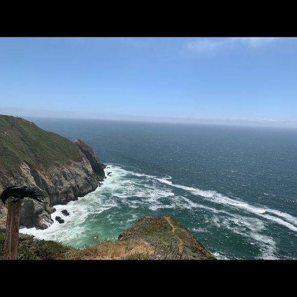 Meet your Posher, Bobby - Picture 12 of 14